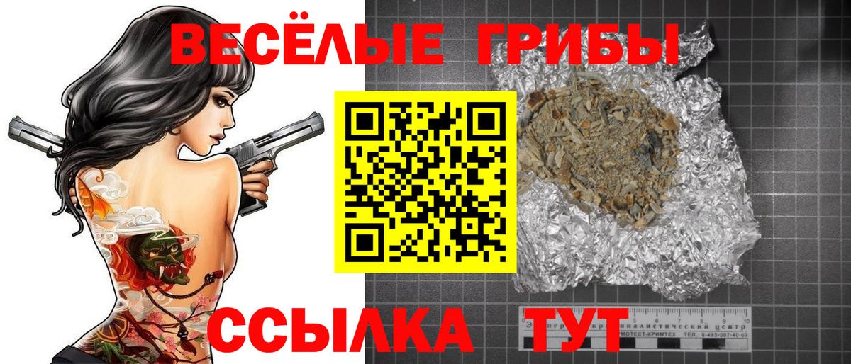 Гусиноозёрск  Галлюциногенные грибы прущие грибы  Вход с VPN 