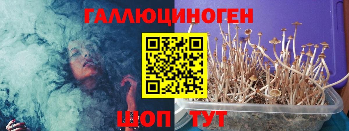 Галлюциногенные грибы мухоморы Гусиноозёрск